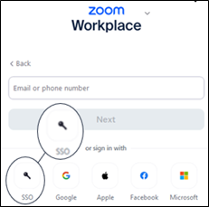zoom_sso.png