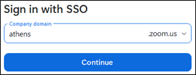 zoom_sso_company_domain.png